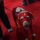 Image for article titled The Cosplay Of New York Comic-Con, Day One
